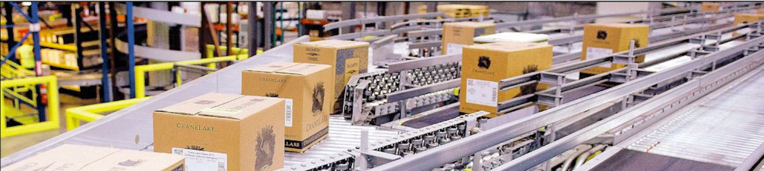 Distribution center sortation conveyor