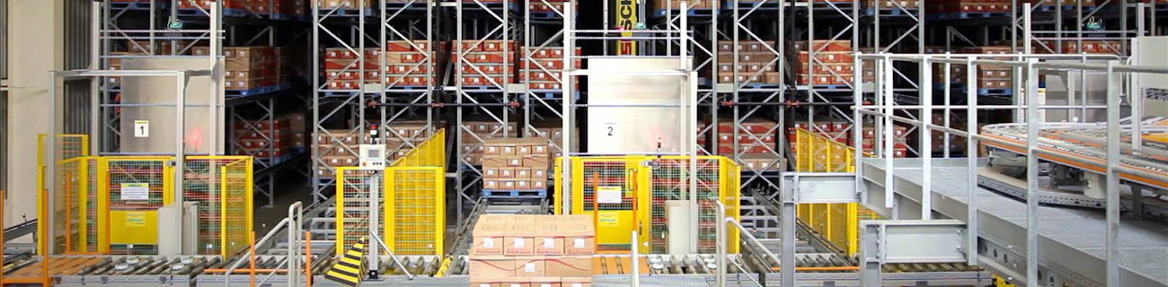 automatic pallet load storage